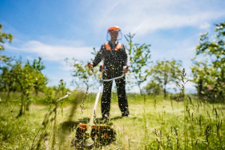 Pielęgnacja terenów zielonych
